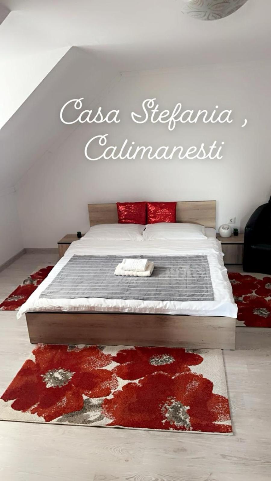 Casa Stefania 1 Leilighet Călimăneşti Eksteriør bilde